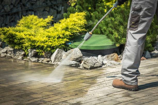 Best Pool Deck Cleaning  in El Paso De Robles, CA