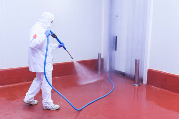 Best Dumpster Area Cleaning  in El Paso De Robles, CA